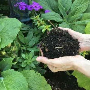 A Workshop For New Gardeners