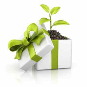 plant gift