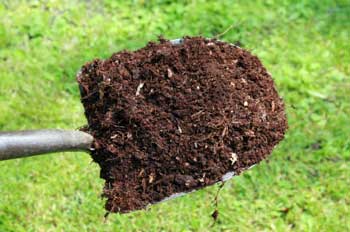 compost on shovel