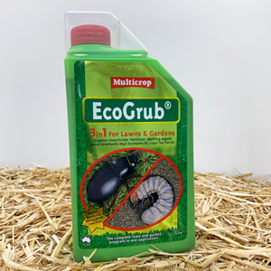 Eco Grub