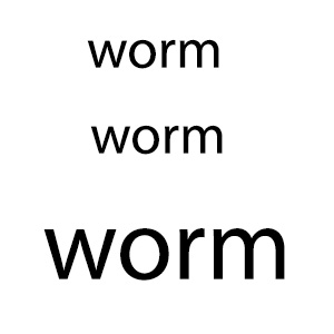 1 Worm (Test Product)