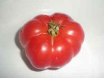 winning tomato